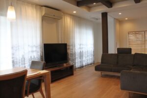 アムステルダムの街並みが鉛筆画で描かれたようなプリント生地