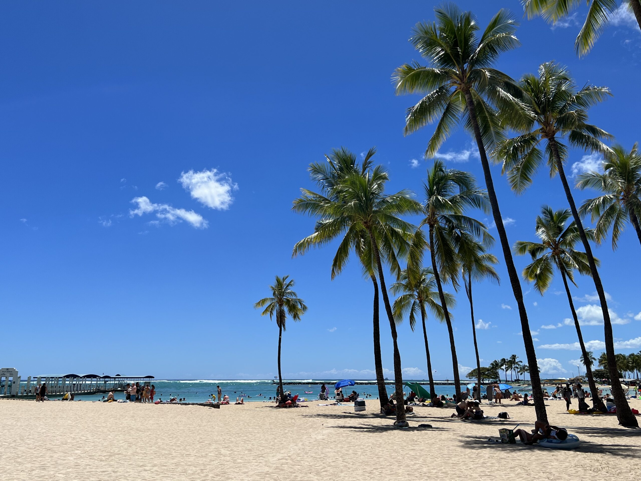 2022年のハワイ、こんな感じ－１